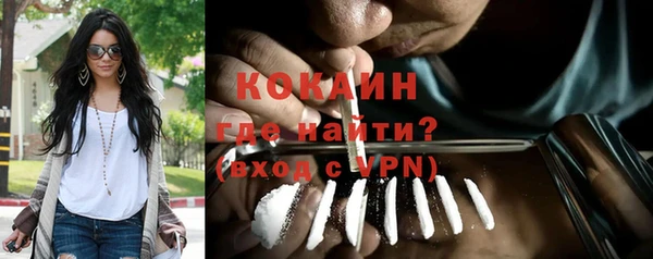 альфа пвп Новодвинск