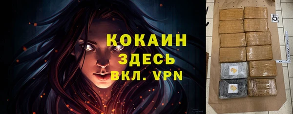 каннабис Новозыбков