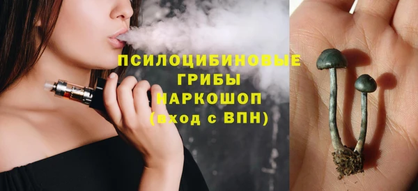 гашик Белая Холуница
