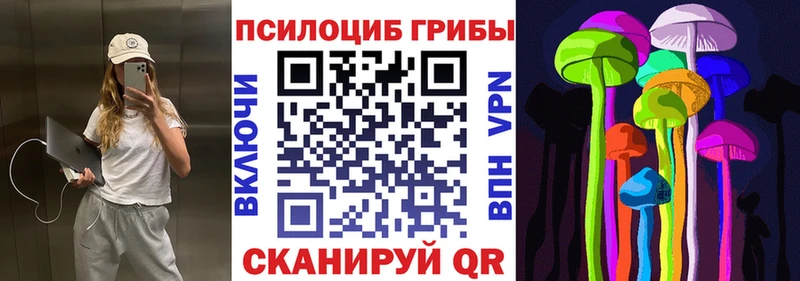 Псилоцибиновые грибы MAGIC MUSHROOMS  Мурино 