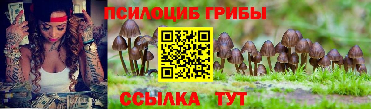 Мурино  Псилоцибиновые грибы прущие грибы  Вход с VPN 